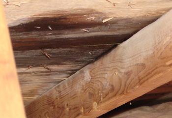 Aboveboard Contracting Images