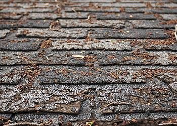 Aboveboard Contracting Images